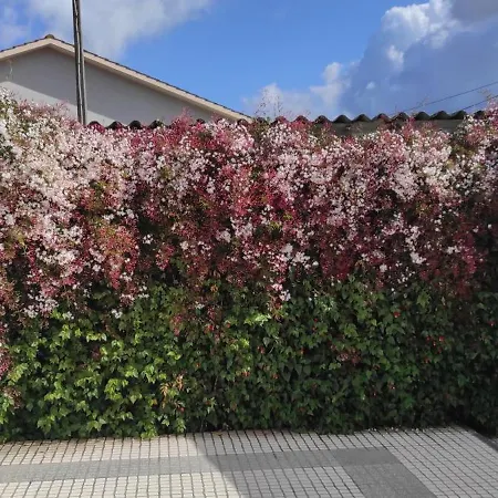Casinha Do Mar Villa Carvide Exterior photo