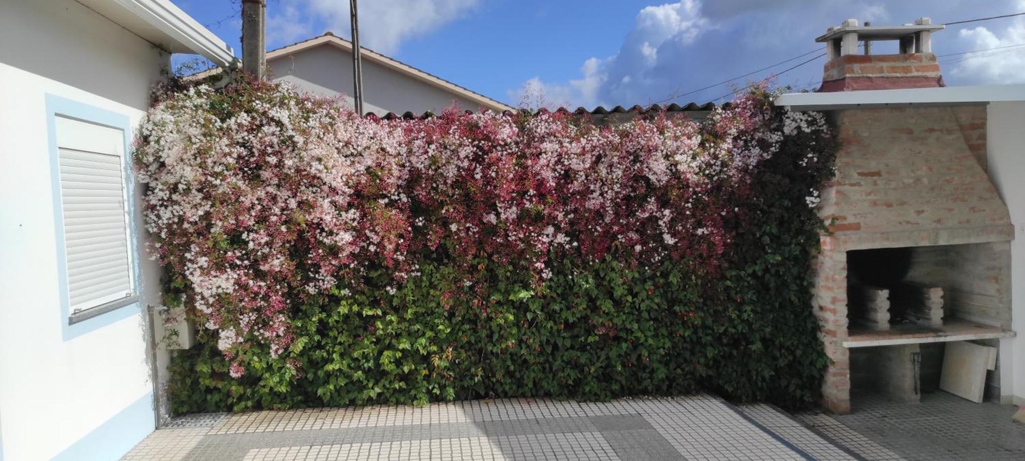 Holiday home Casinha Do Mar Carvide